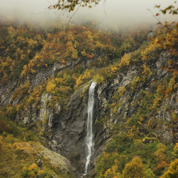 Waterfall in a Green Spring Forest Surrounded by Stones